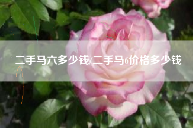 二手马六多少钱/二手马6价格多少钱
