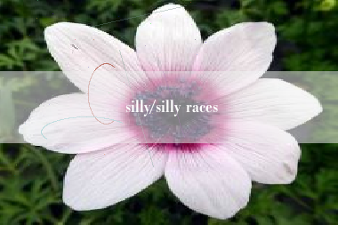 silly/silly races