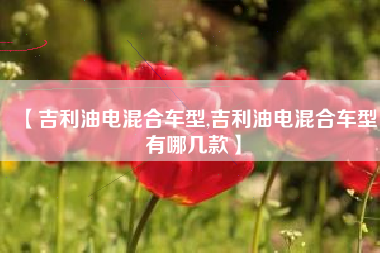 【吉利油电混合车型,吉利油电混合车型有哪几款】