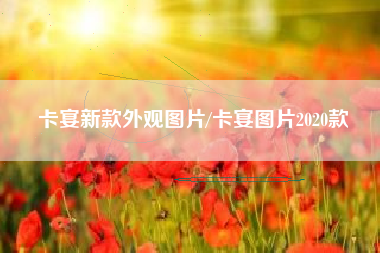 卡宴新款外观图片/卡宴图片2020款 卡宴新款外观图片/卡宴图片2020款