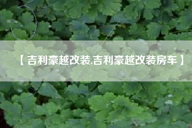 【吉利豪越改装,吉利豪越改装房车】