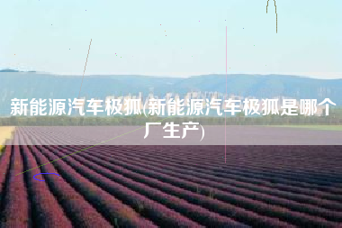 新能源汽车极狐(新能源汽车极狐是哪个厂生产)