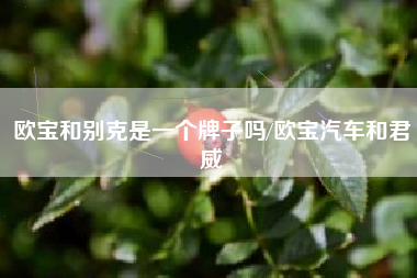 欧宝和别克是一个牌子吗/欧宝汽车和君威