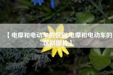 【电摩和电动车的区别,电摩和电动车的区别图片】