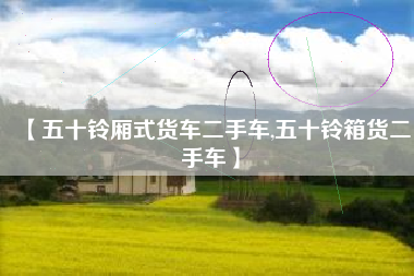 【五十铃厢式货车二手车,五十铃箱货二手车】