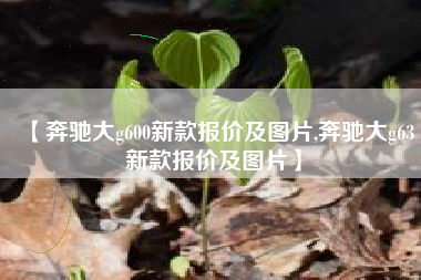 【奔驰大g600新款报价及图片,奔驰大g63新款报价及图片】 【奔驰大g600新款报价及图片,奔驰大g63新款报价及图片】