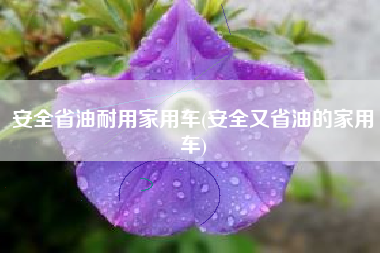 安全省油耐用家用车(安全又省油的家用车)