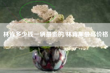 林肯多少钱一辆最贵的/林肯车最高价格 林肯多少钱一辆最贵的/林肯车最高价格