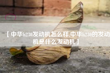 【中华h230发动机怎么样,中华h230的发动机是什么发动机】