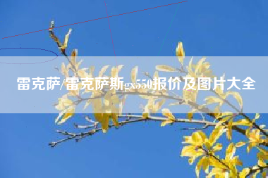 雷克萨/雷克萨斯gx550报价及图片大全