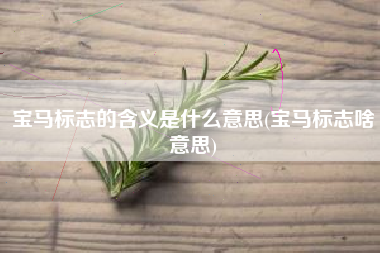 宝马标志的含义是什么意思(宝马标志啥意思)