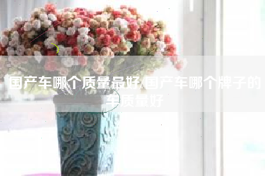 国产车哪个质量最好/国产车哪个牌子的车质量好
