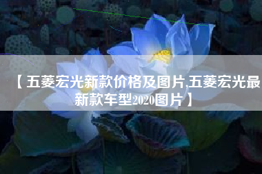 【五菱宏光新款价格及图片,五菱宏光最新款车型2020图片】