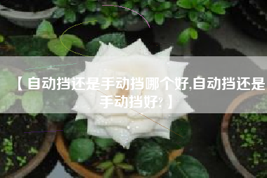 【自动挡还是手动挡哪个好,自动挡还是手动挡好?】