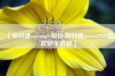 【保时捷macangts报价,保时捷macan2020新款轿车价格】