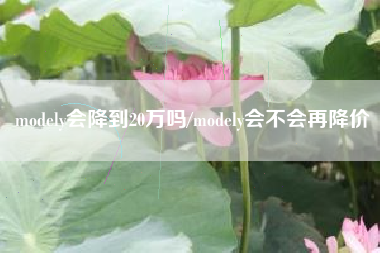 modely会降到20万吗/modely会不会再降价 modely会降到20万吗/modely会不会再降价