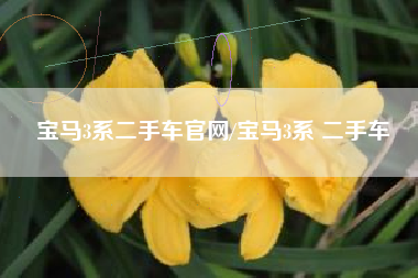 宝马3系二手车官网/宝马3系 二手车
