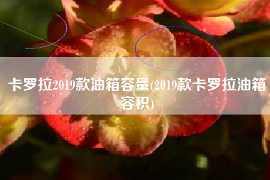 卡罗拉2019款油箱容量(2019款卡罗拉油箱容积)