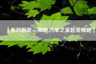 【东风起亚suv狮跑,汽车之家起亚狮跑】