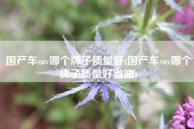 国产车suv哪个牌子质量好(国产车suv哪个牌子质量好省油)