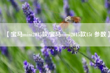 【宝马mini2015款,宝马mini2015款15t 参数】