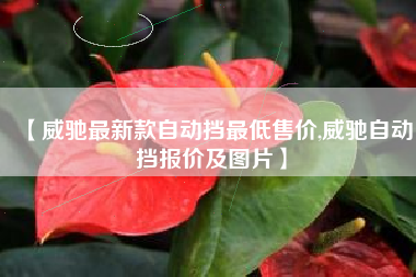 【威驰最新款自动挡最低售价,威驰自动挡报价及图片】