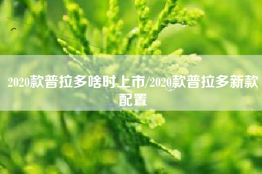 2020款普拉多啥时上市/2020款普拉多新款配置