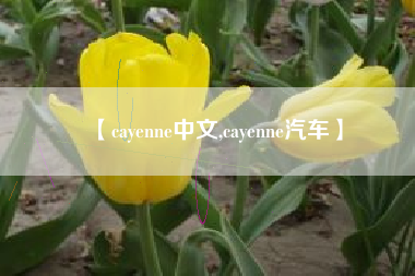 【cayenne中文,cayenne汽车】 【cayenne中文,cayenne汽车】