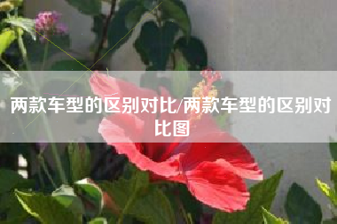 两款车型的区别对比/两款车型的区别对比图